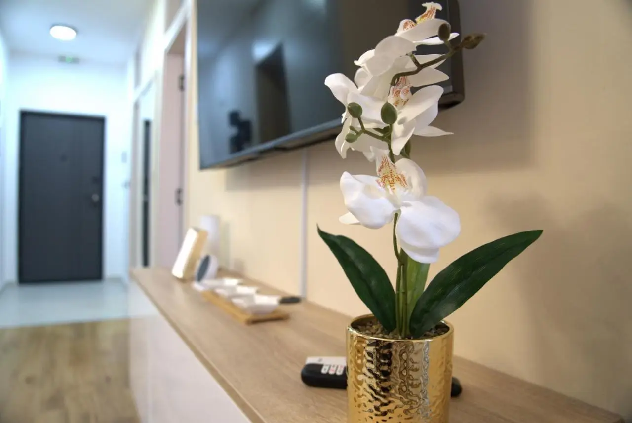 Apartment Alina Istocno Sarajevo with private garage Lukavica