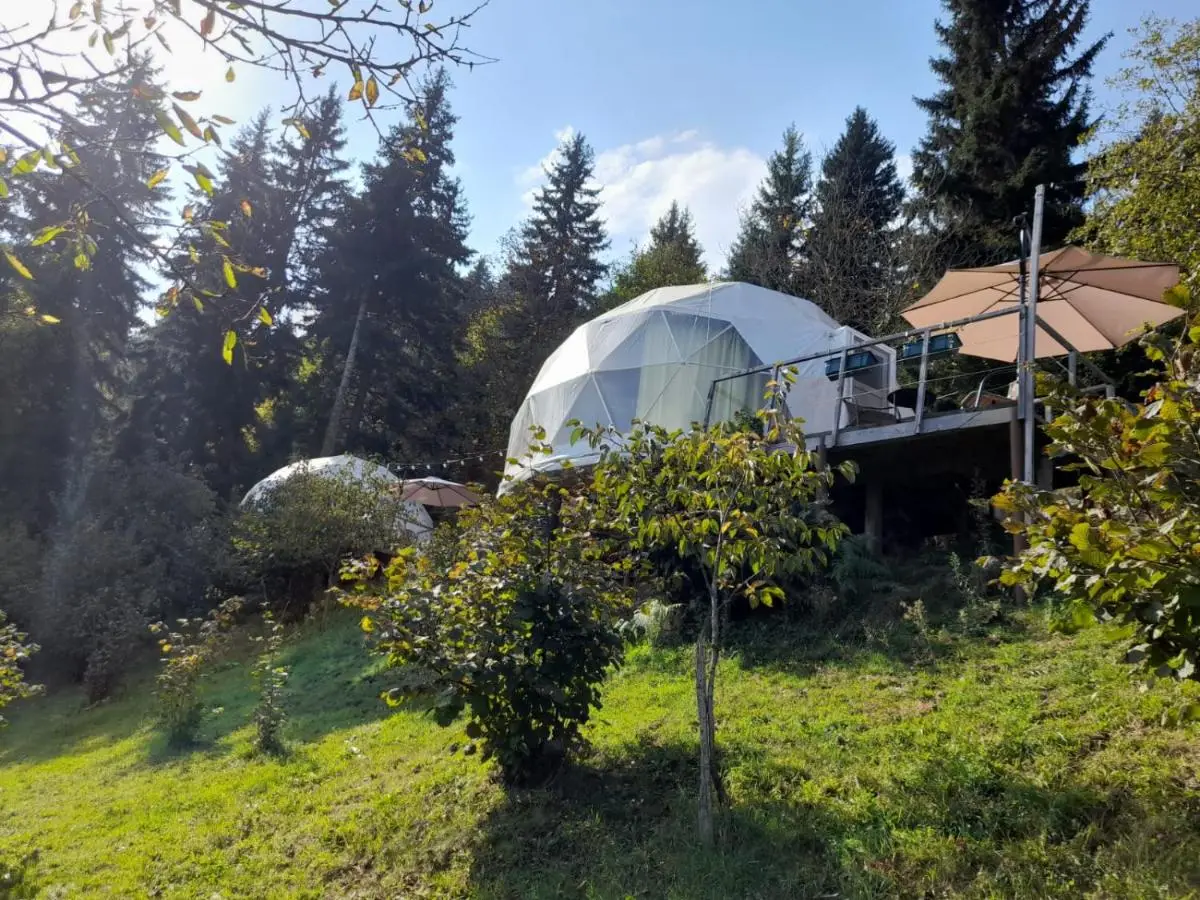 Ajara Glamping Kokotauri