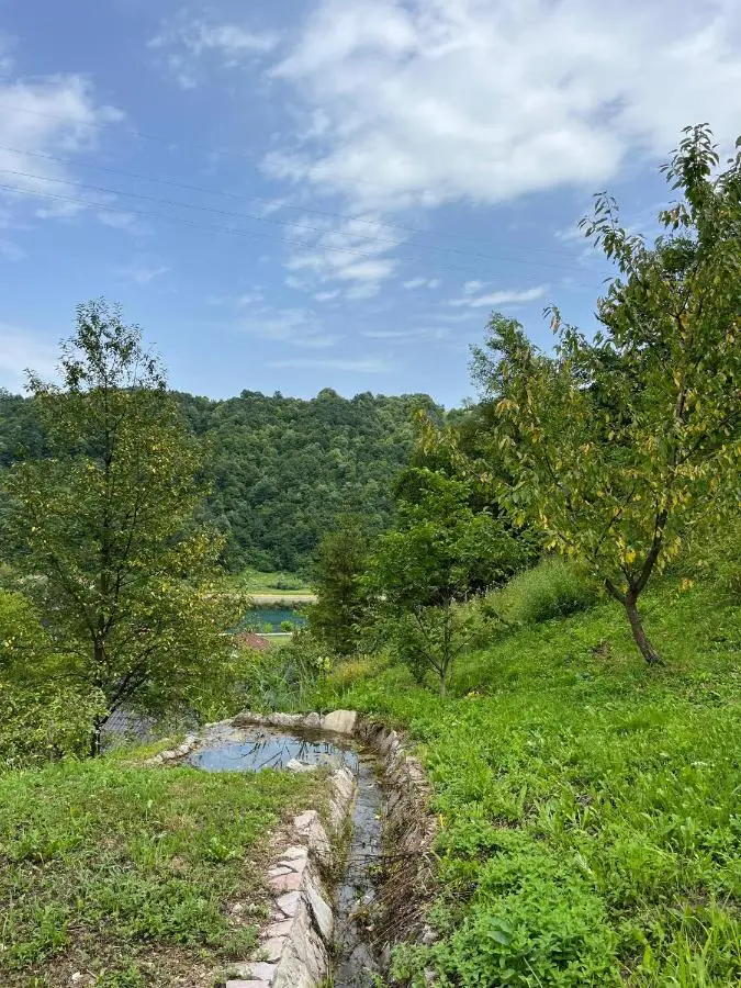 Small Bosnian House