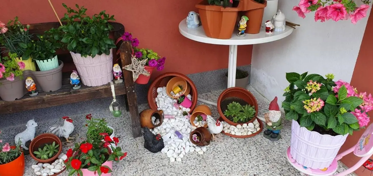 Apartman Leon