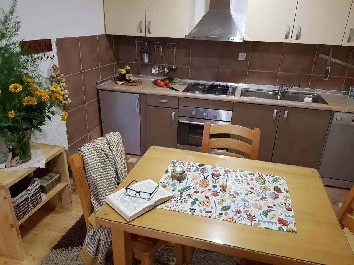 Terra Relax - ski in-ski out, apartman sa saunom, kaminom i parkingom