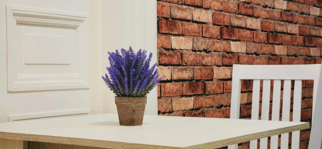 Friends - Your Cosy Apartment in the Center
