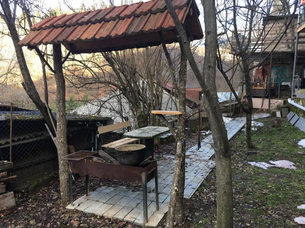 Guest House Shvelidze