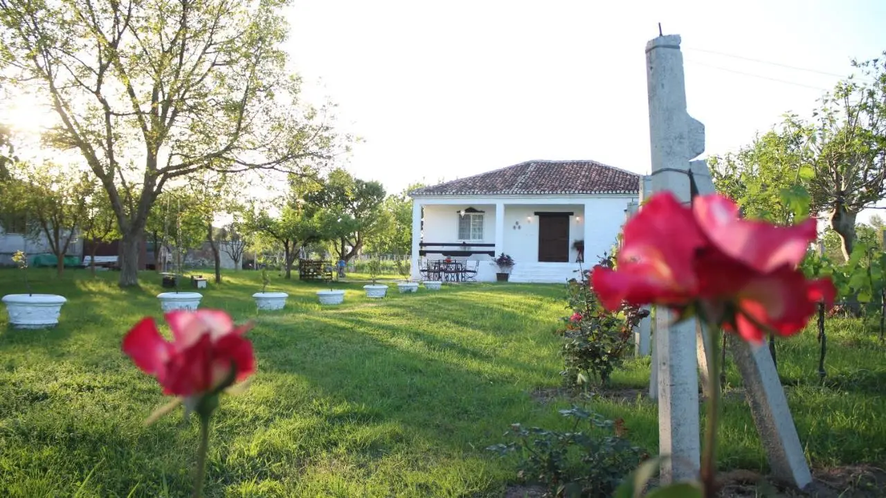 "Per Mik" cottage in vineyard