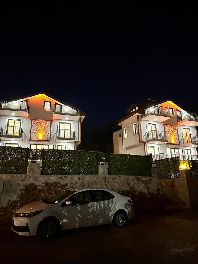 Villa Vineyard