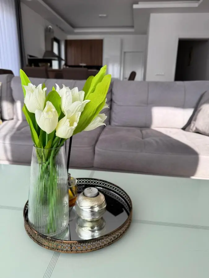 pazaric residence