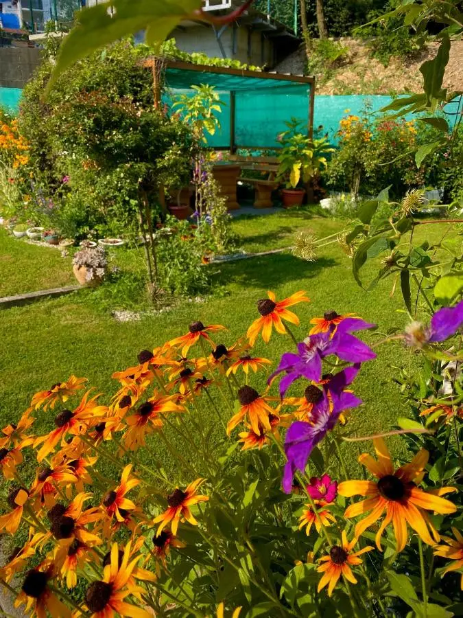 Family Flower House