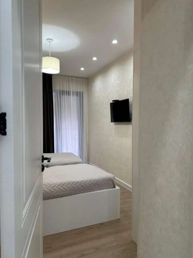 Modern apartment in Borjomi