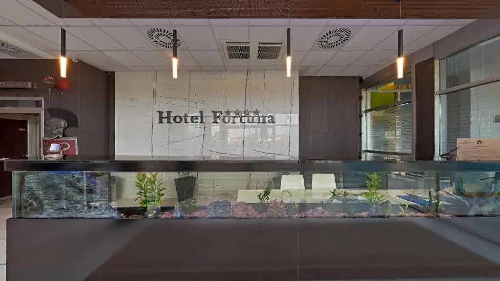 Hostel Fortuna