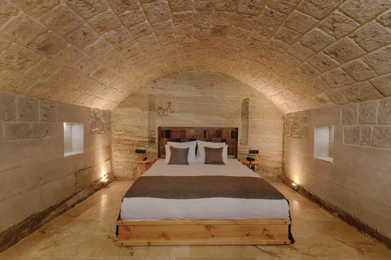 Concept Cave House