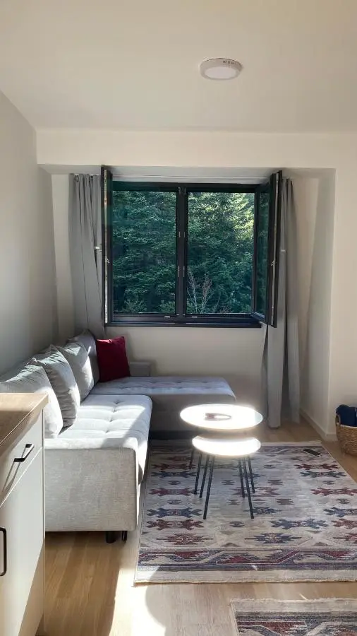 Mountain Dream