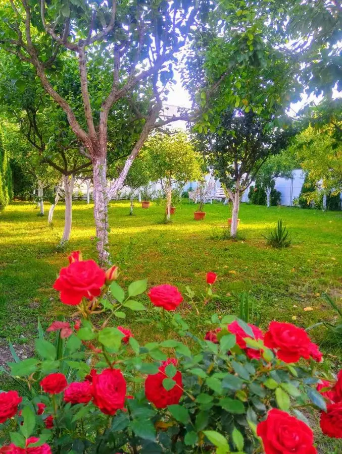 Apartmani Jasmina 2
