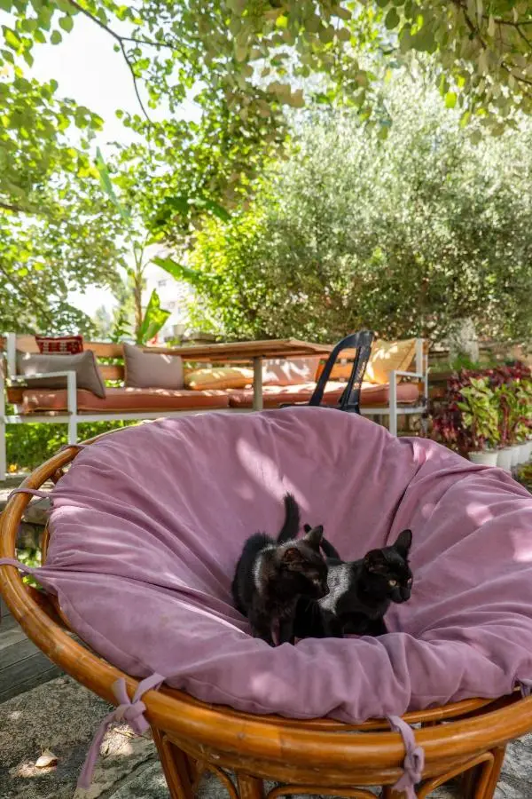 Villa Green Garden