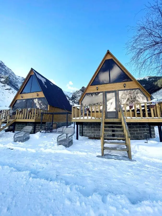 Pine Chalet Kazbegi