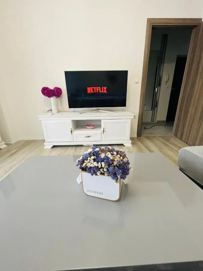 Apartment Iva
