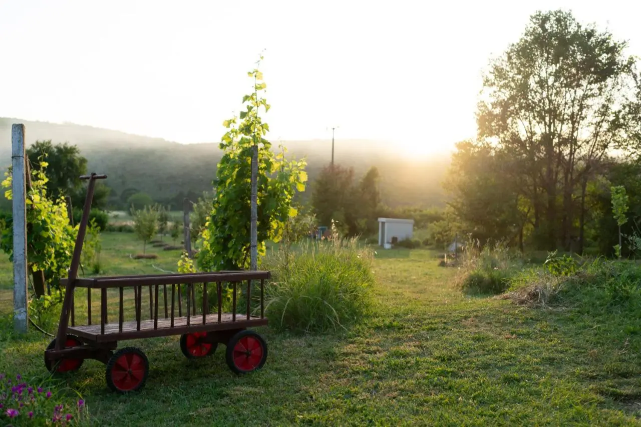 OZ - Obecana Zemlja Permaculture Homestead