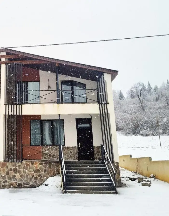 Twin Cottages in Bakuriani