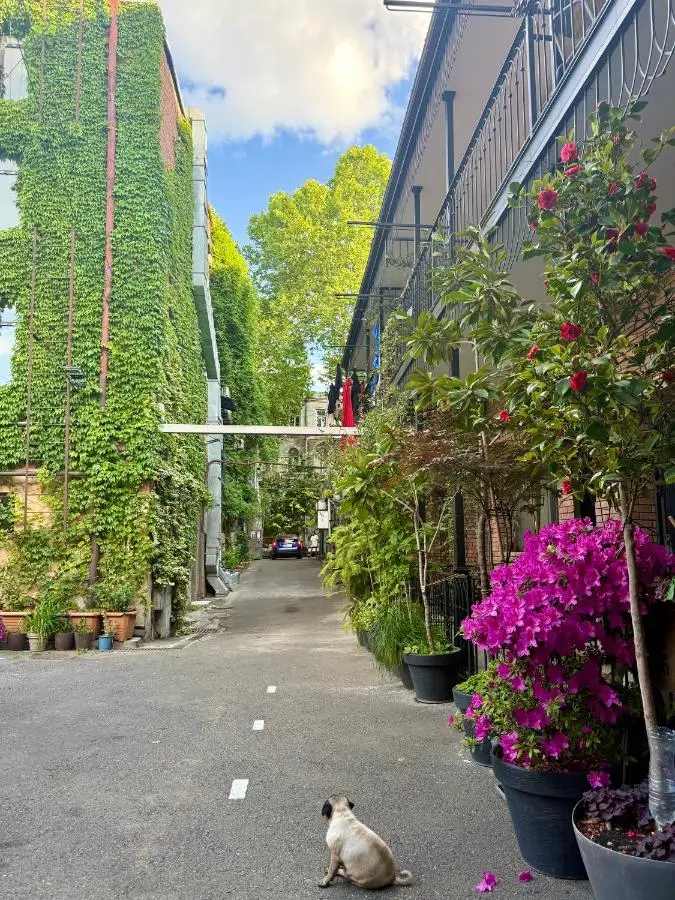 Nova city center apartments