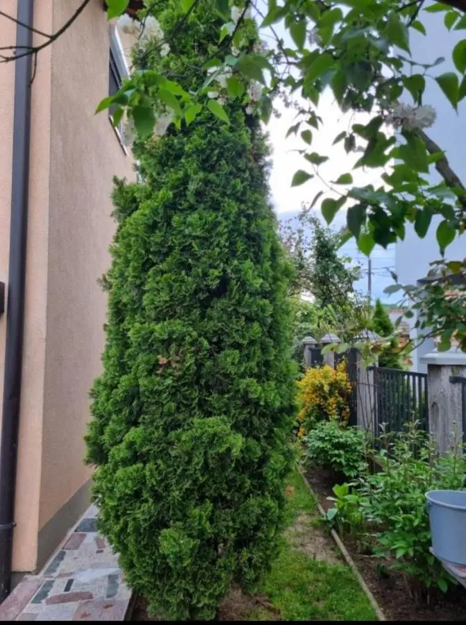 APARTMAN SARAJEVO DVOKREVETNI-dvije osobe