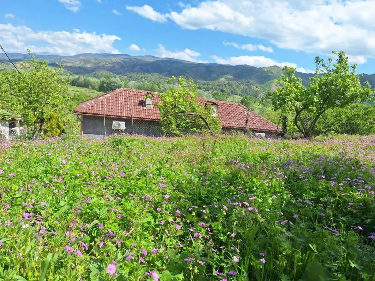 Spring Village Home