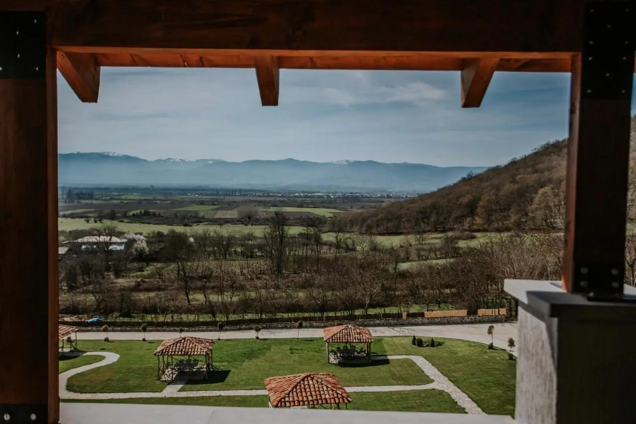 Babaneuris Marani