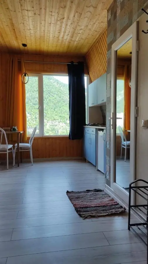 Borjomi Nest