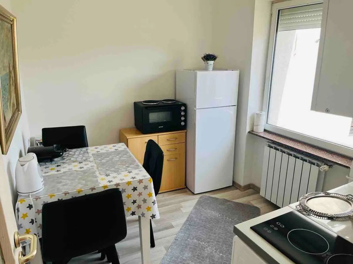 Luxury apartment in city center