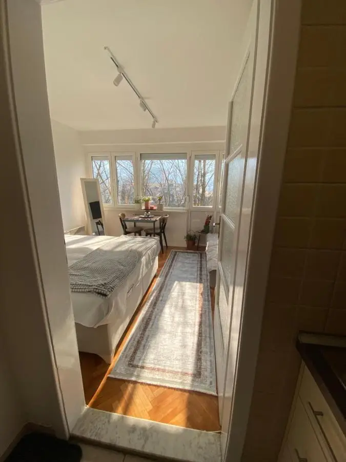 Studio Central Apartment