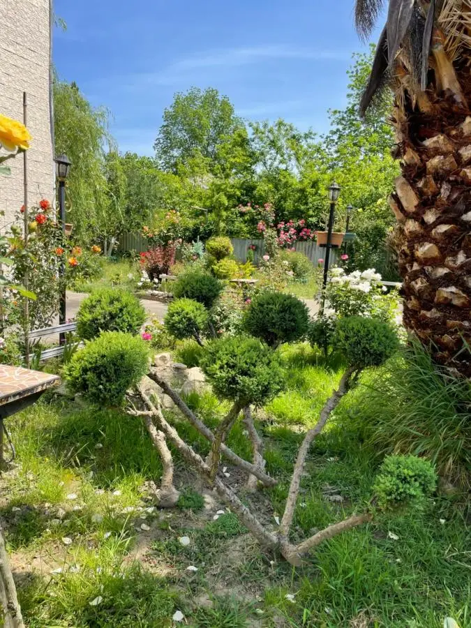 House - Kutaisi International Airport 15 Minutes- Quiet cozy house with parking