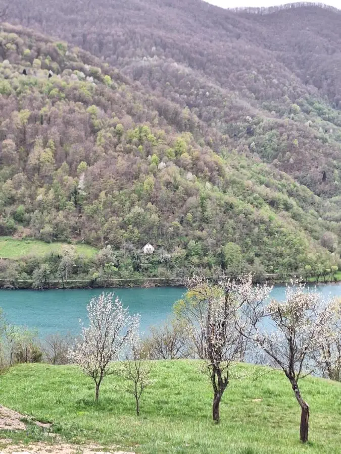 Cottage MIRNI RAJ