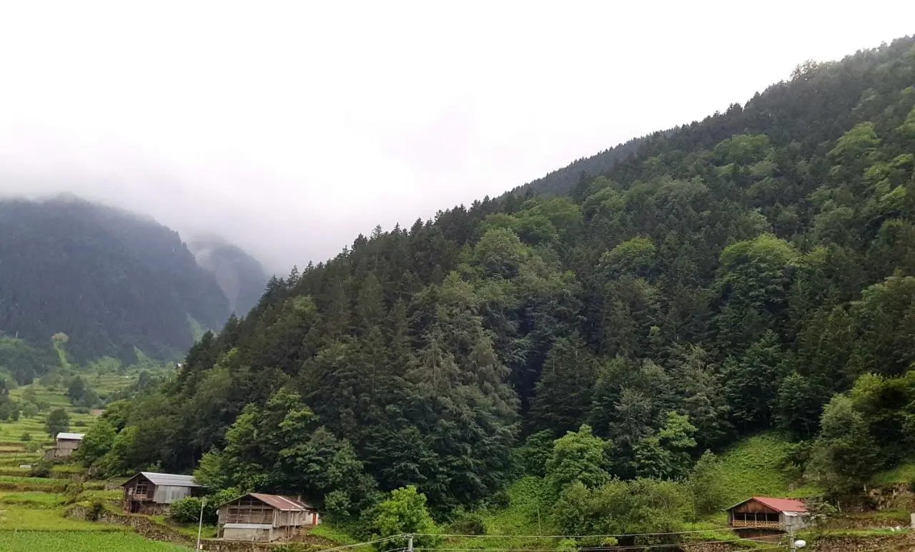 Talipoğlu Apart