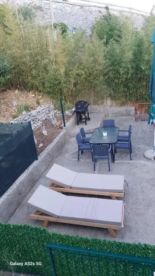Apartment Feral