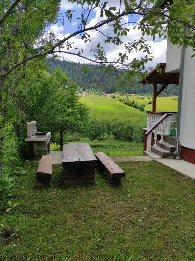 Vlasic holiday home