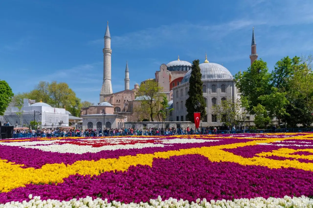 Tulip City Hotel & SPA