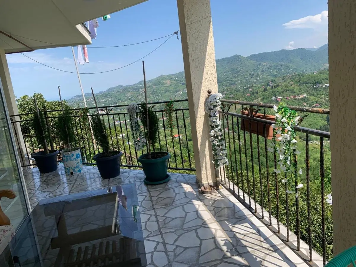 tamazis guest house