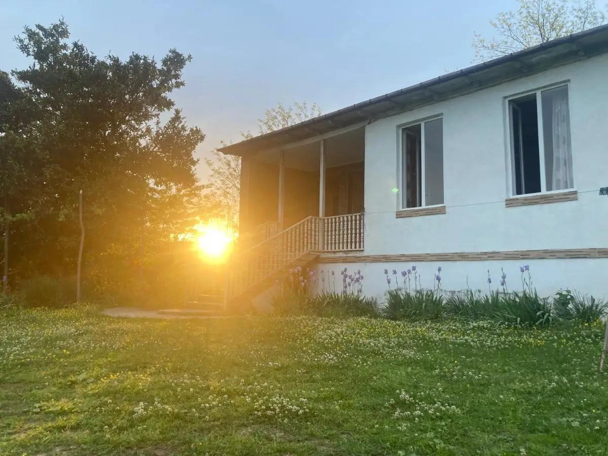 Mira Hills