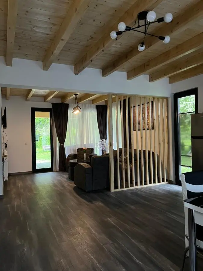 MTA house - Borjomi