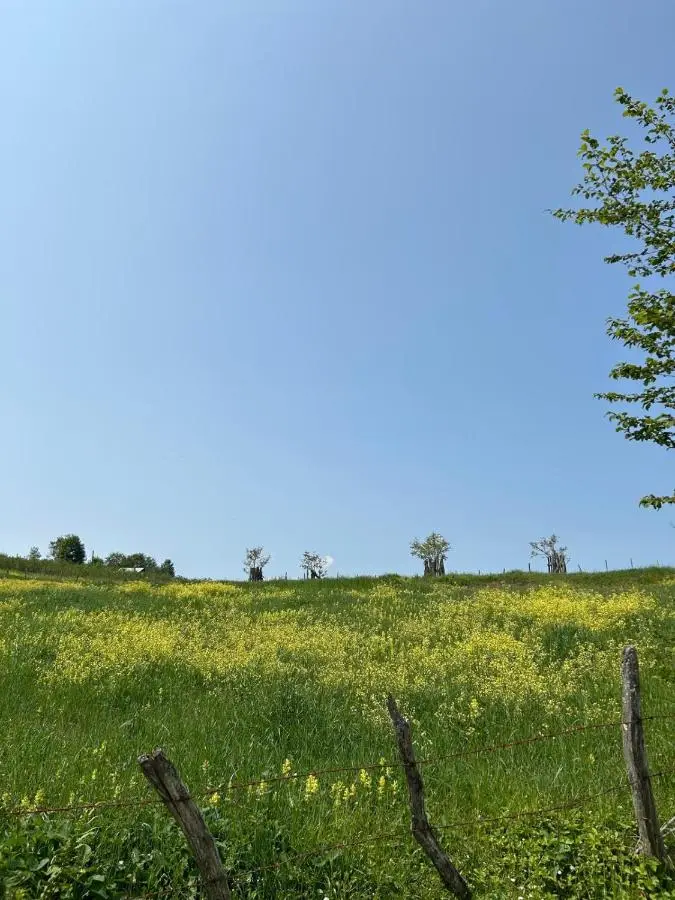 Kayabaşı bungolov