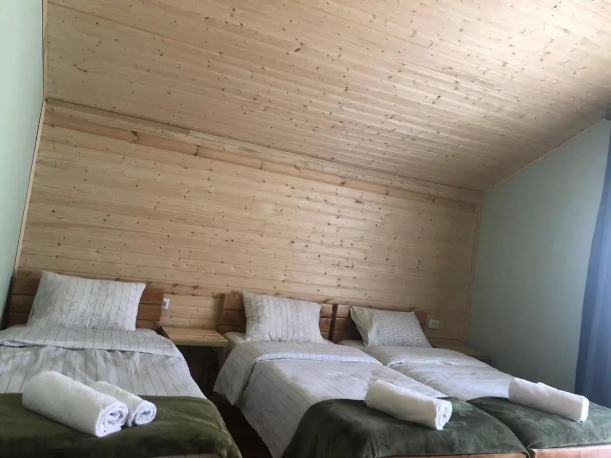 Cozy Place in Kazbegi