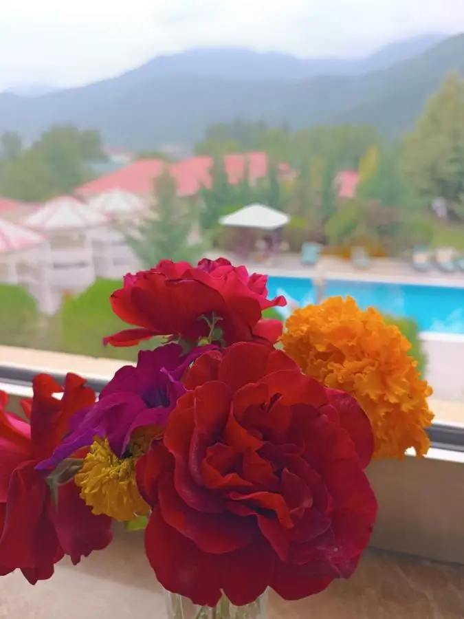 Bliss Inn Hotel Gabala Vandam
