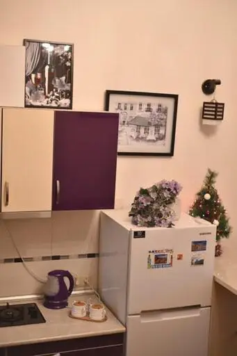 Comfortable Flat in Central Tbilisi