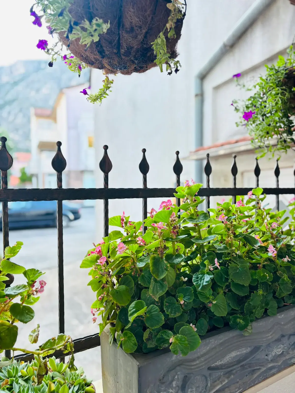 Lavanda Apartment-15 min walk to the Old Bridge