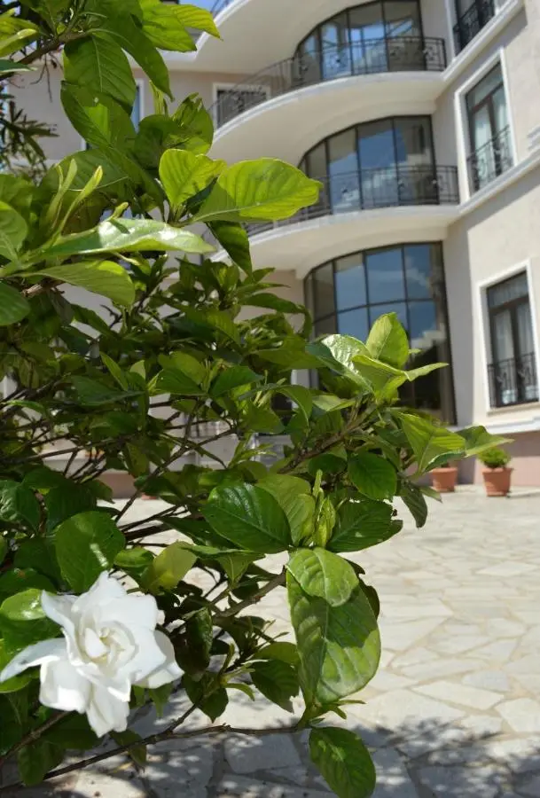Boutique Hotel Argo