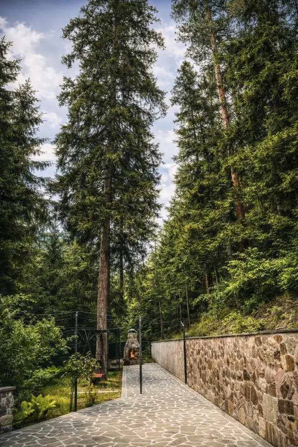 Hotel forest echo