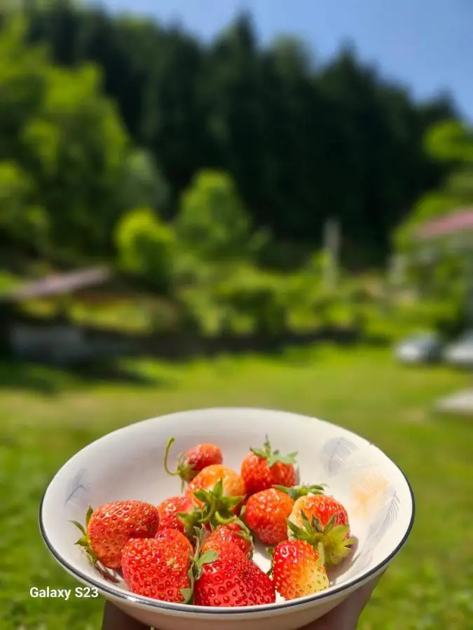 Cottage Mziuri