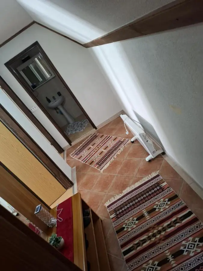 Apartments Vučko Vlašić