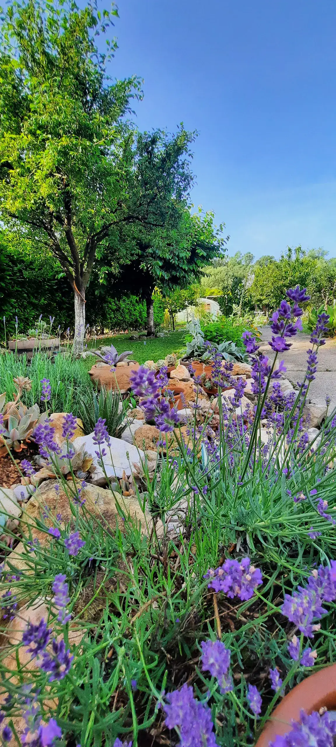 Sunshine Apartment – Pool, River & Garden Oasis