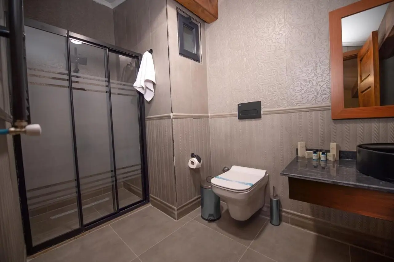 AHISKA PALAS OTEL