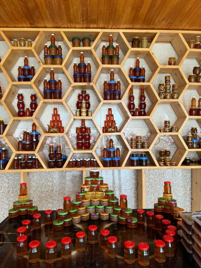 Hotel Okatsia სასტუმრო ოკაცია