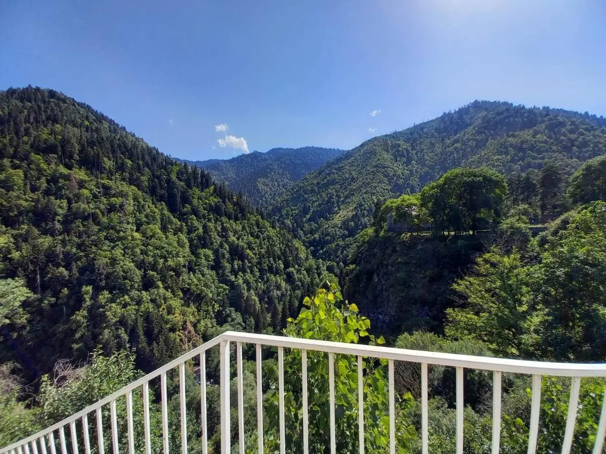 Hotel Villa Borjomi